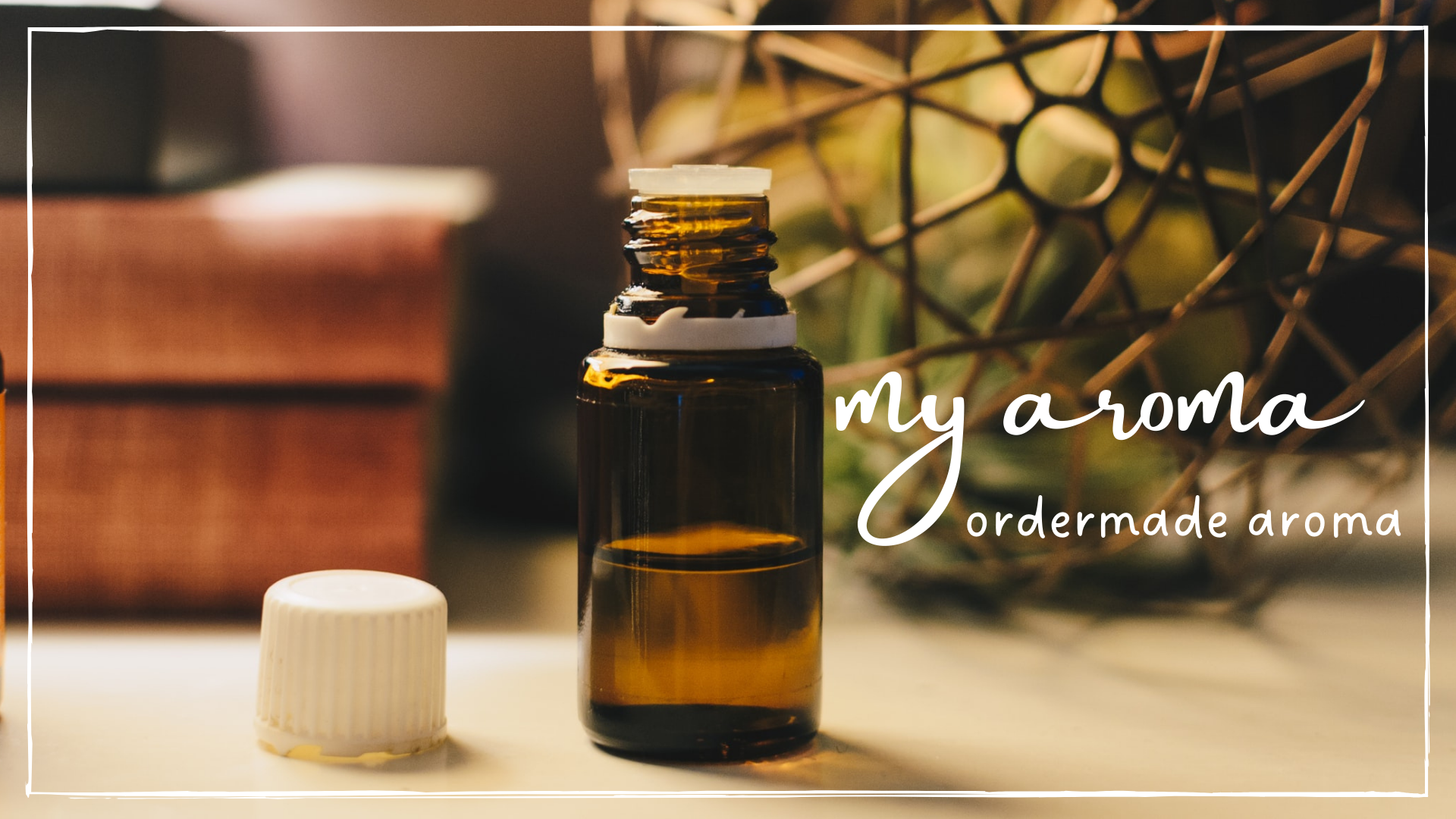 my aroma ORDER COLLECTION